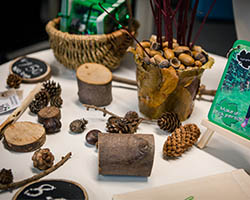 Outdoor education resources display stall